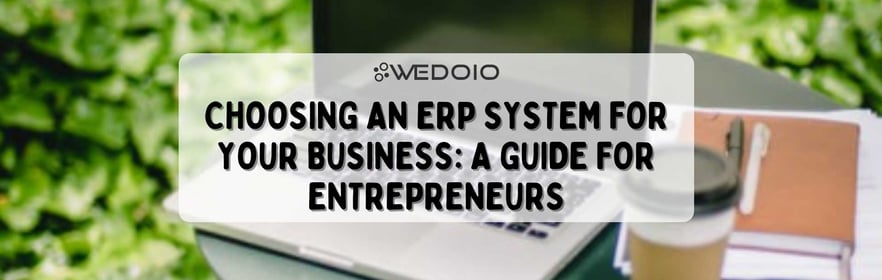 Choosing the ERP System For Your Business: A Guide For Entrepreneurs