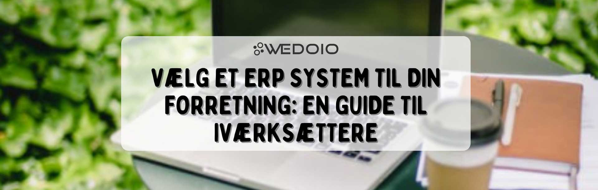 Vælg et ERP system til din forretning: En guide til iværksættere